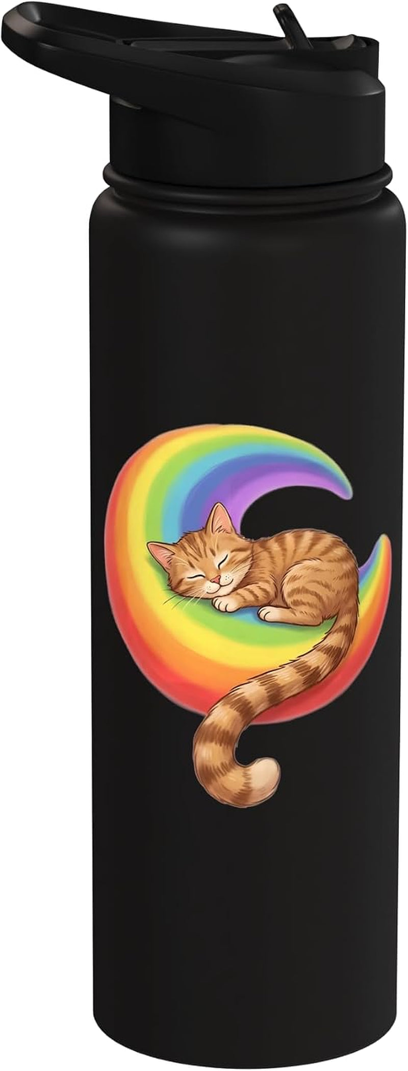 Napping Orange Tabby Kitten on Rainbow Cat Lover Kitty Stainless Steel Insulated Water Bottle