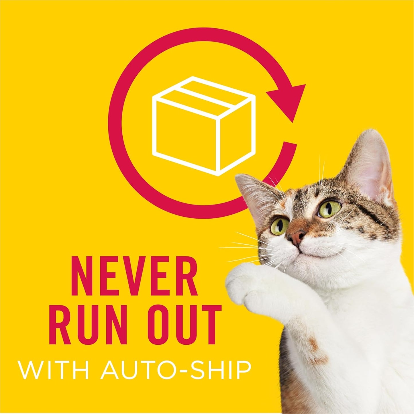 Purina Friskies Lil’ Lickables with Chicken, with Tuna or with Ocean Whitefish Variety Pack Lickable Cat Treats - 10 Oz. (Pack of 20)