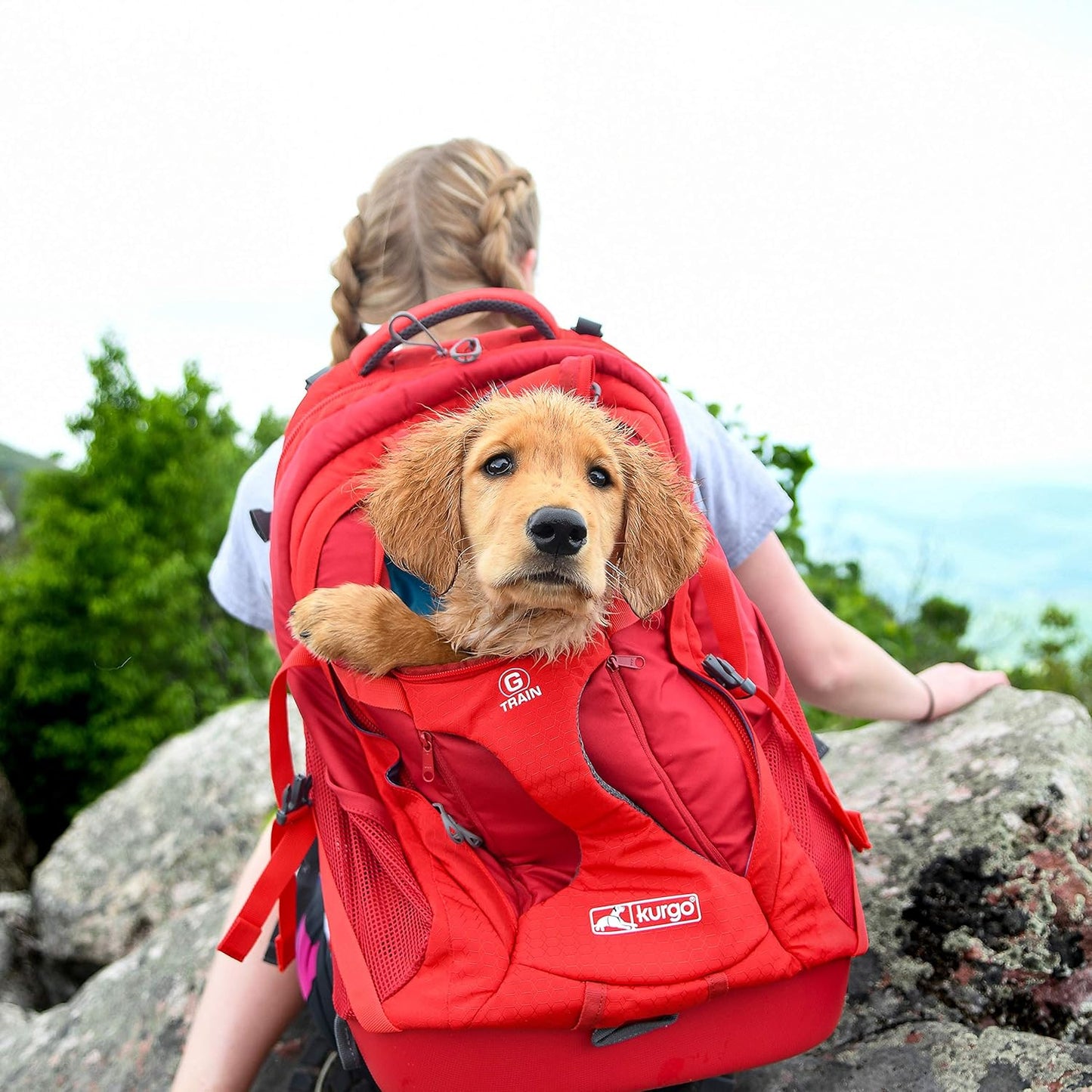 Kurgo G-Train Dog Carrier Backpack - Comfortable Travel Bag for Pets up to 25 Lbs - Waterproof Bottom - Multi-Compartment Pack - Dog Hiking Gear - Rugged Adventure Backpack - Red