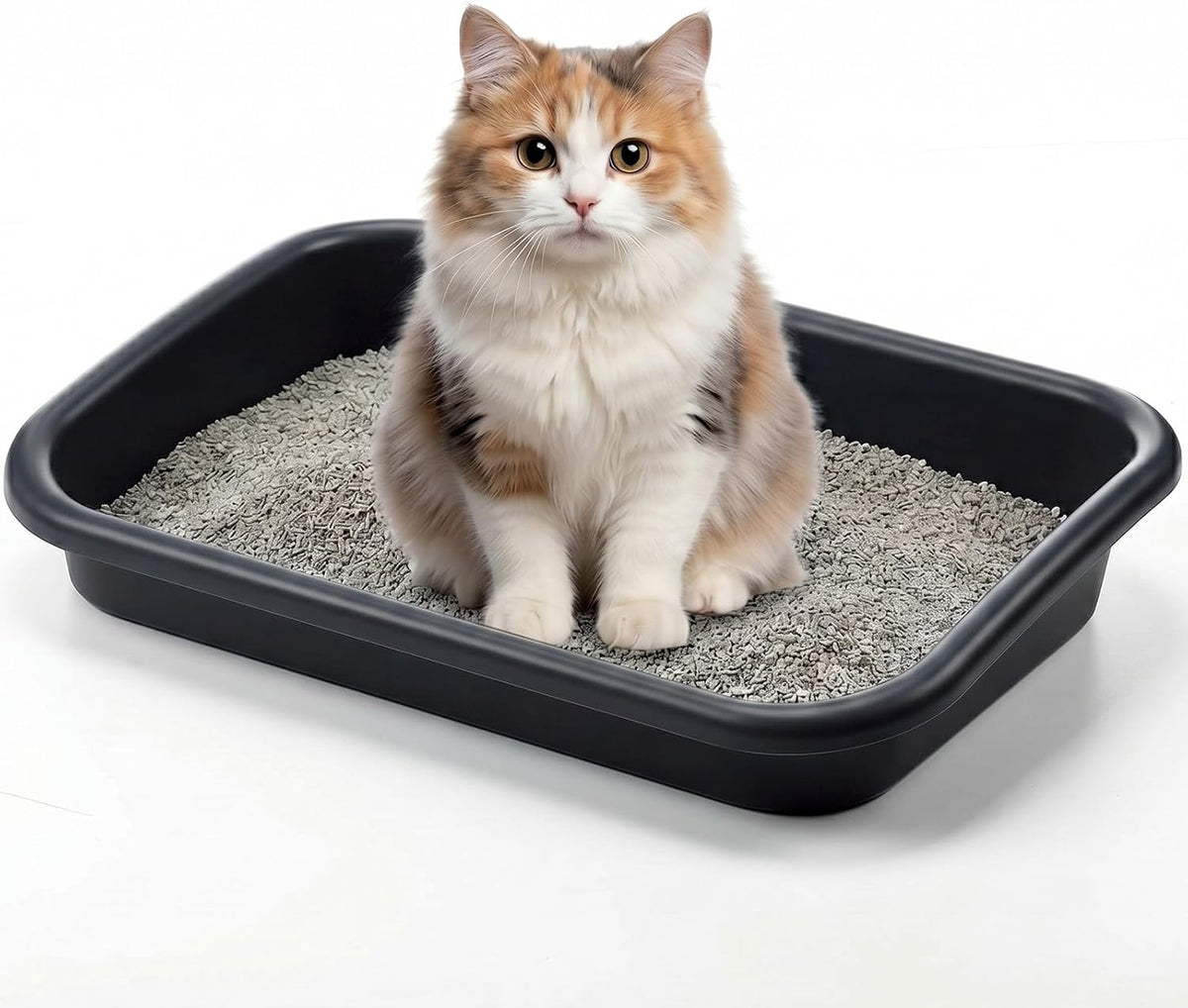 Uiifan Low Entry Cat Litter Box, Black Gray, 16.9 X 12 X 3.15 Inch