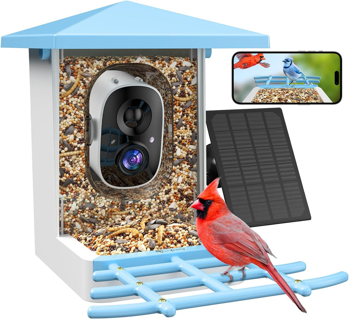 Solar Smart Bird Feeder with Camera, 2.5K HDR Live Video, AI Bird ID