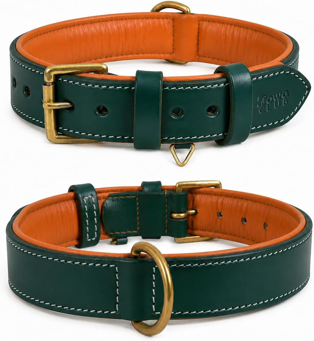 Dowgclub Genuine Leather Dog Collar, Green, Medium, Soft Leather Padding