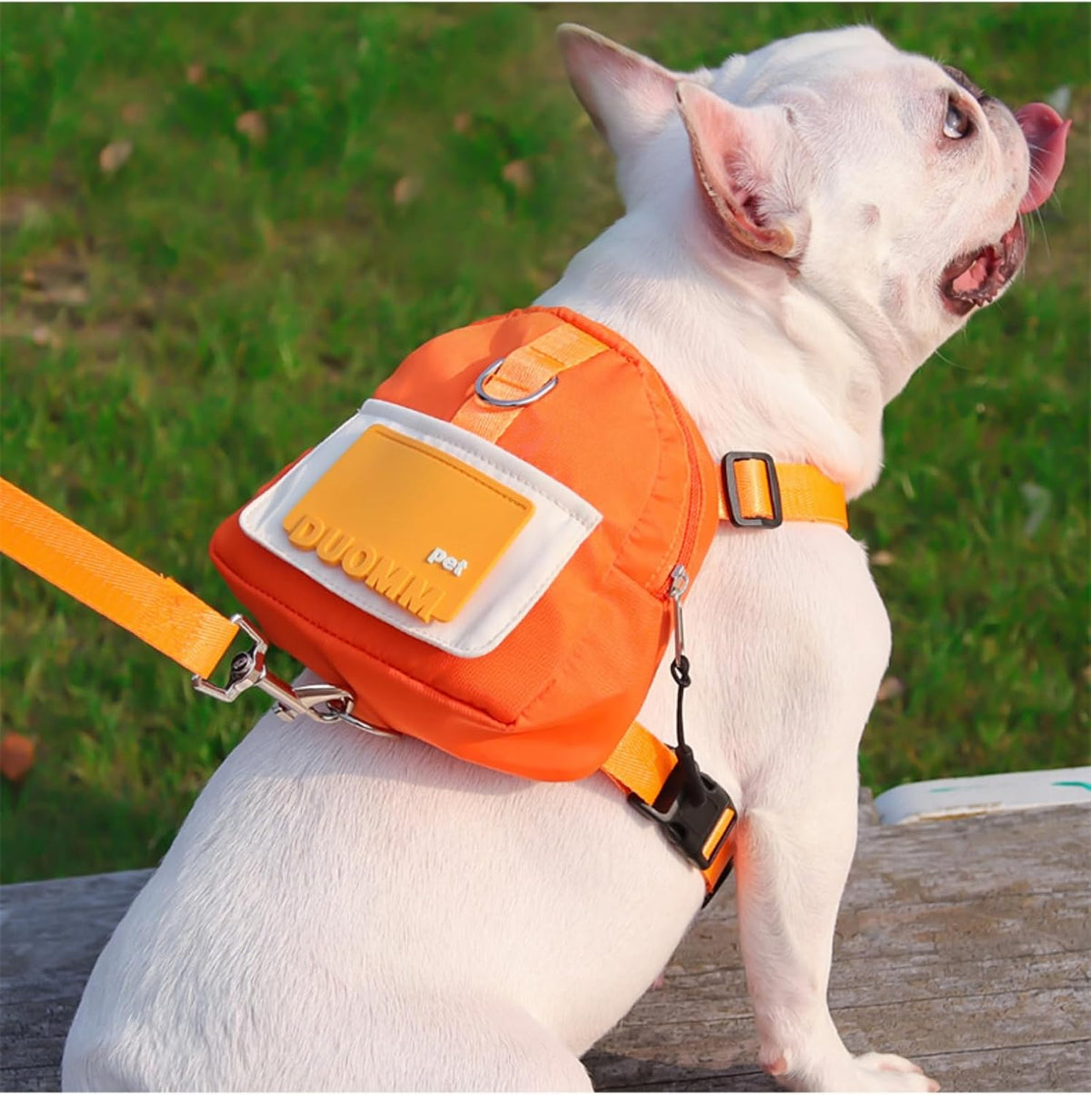 Backpack for Small Dogs to Wear, Built-In Poop Bag Dispenser, Adjustable Pet Backpack Harness, Suitable for Small and Medium Dogs, Puppies for Travel, Hiking and Daily Walking. (Orange(Fit:15-30Lb))