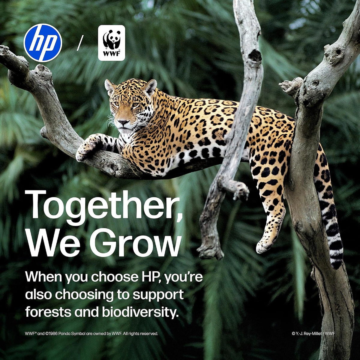 HP Deskjet 2955 Wireless All-In-One Color Inkjet Printer, Scanner, Copier, Best-For-Home, 3 Month Trial of Instant Ink Included, Ai-Capable (A24HJA)