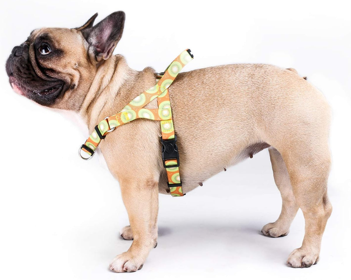 French Bulldog Harness Adjustable Locked Buckle with Handle for Frenchie Pug English Boston Terrier Dogs, Kiwi Fruit, Medium