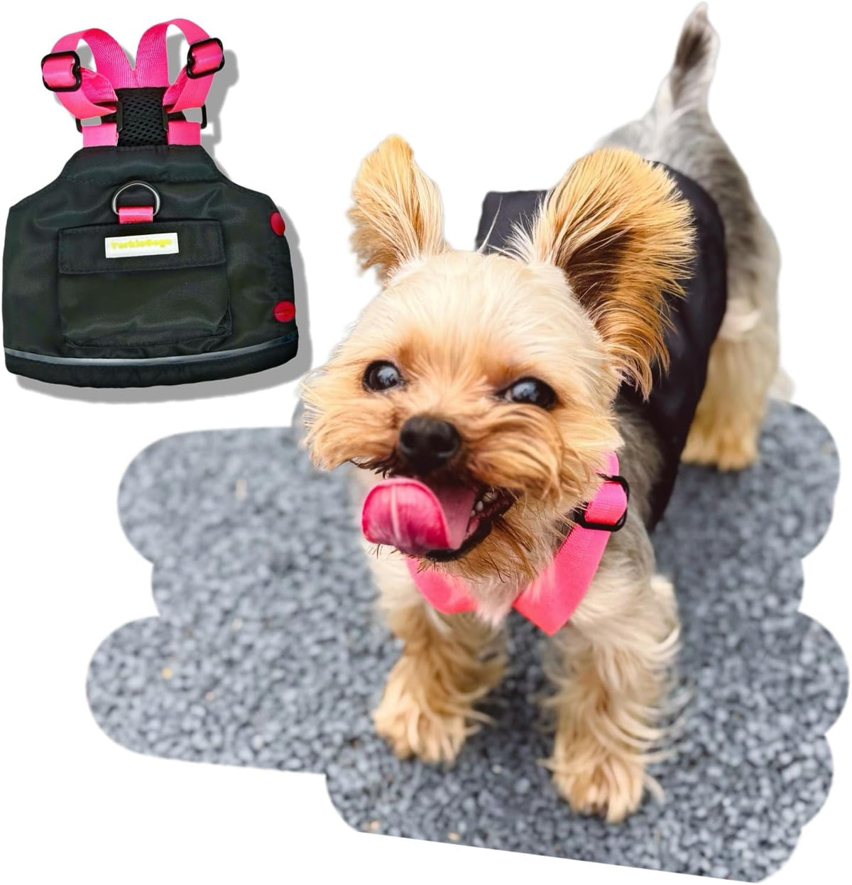Little Explorer Pet Vest - High-Vis Outdoor Outfit with Detachable Backpack for Small/Teacup Dog, Cat, Small Animal & Monster | Durable & Warm for Winter/Fall/Spring (Black, XXXS)