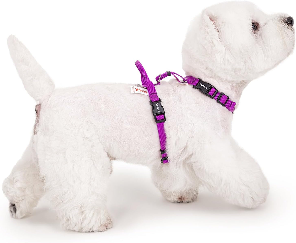 Non Restrictive Dog Harness, Purple, X-Small