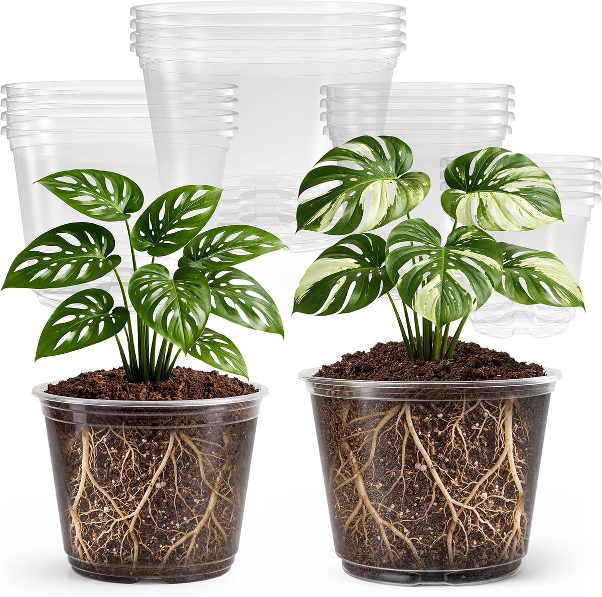 Bluepro Clear Nursery Pots with Drainage Holes, 5/6/8/10 Inch, 16-Pack