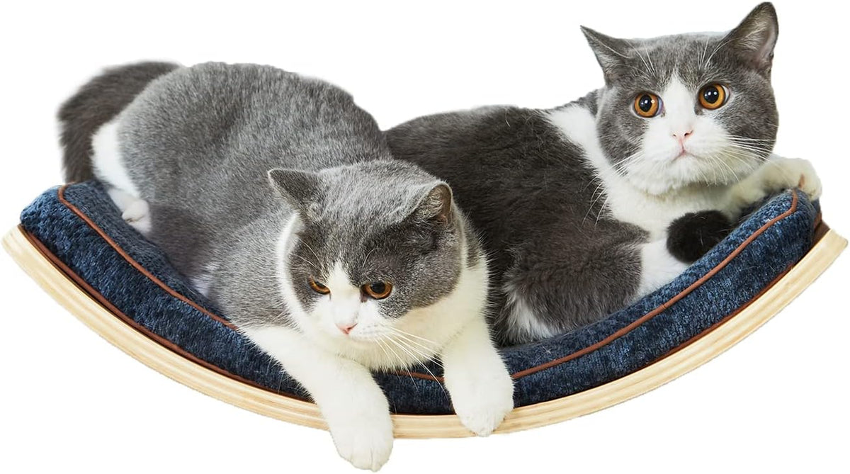Cat Shelf with Comfortable Cushion - Curved Modern Cat Bed (Large Size) - Lotus Leaf Design Cats Wall Perch - Wall Mounted Cats Furniture for Sleeping, Playing, Climbing, and Lounging