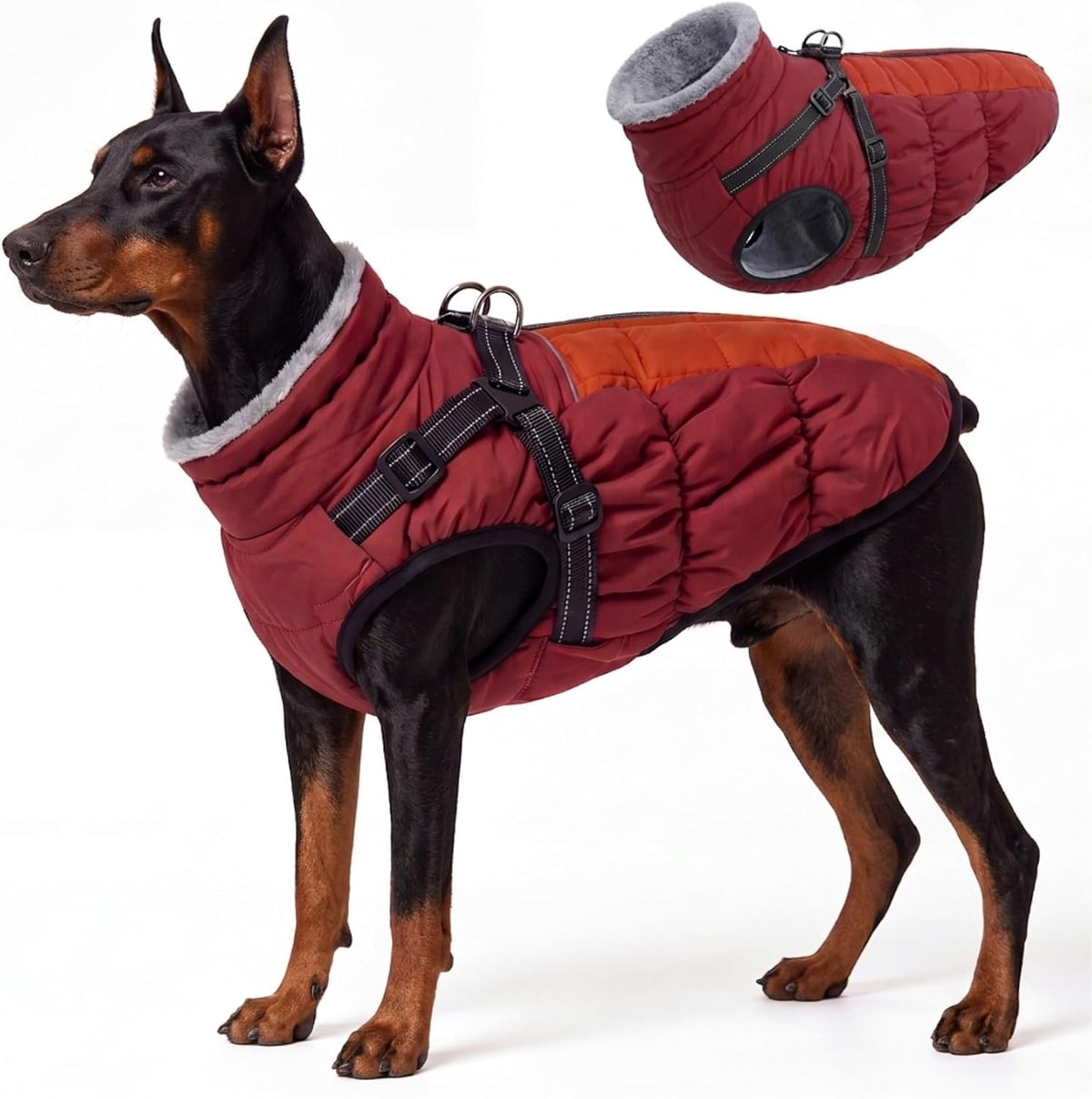 Winter Dog Coat with Harness Built-In, Waterproof Dog Jacket
