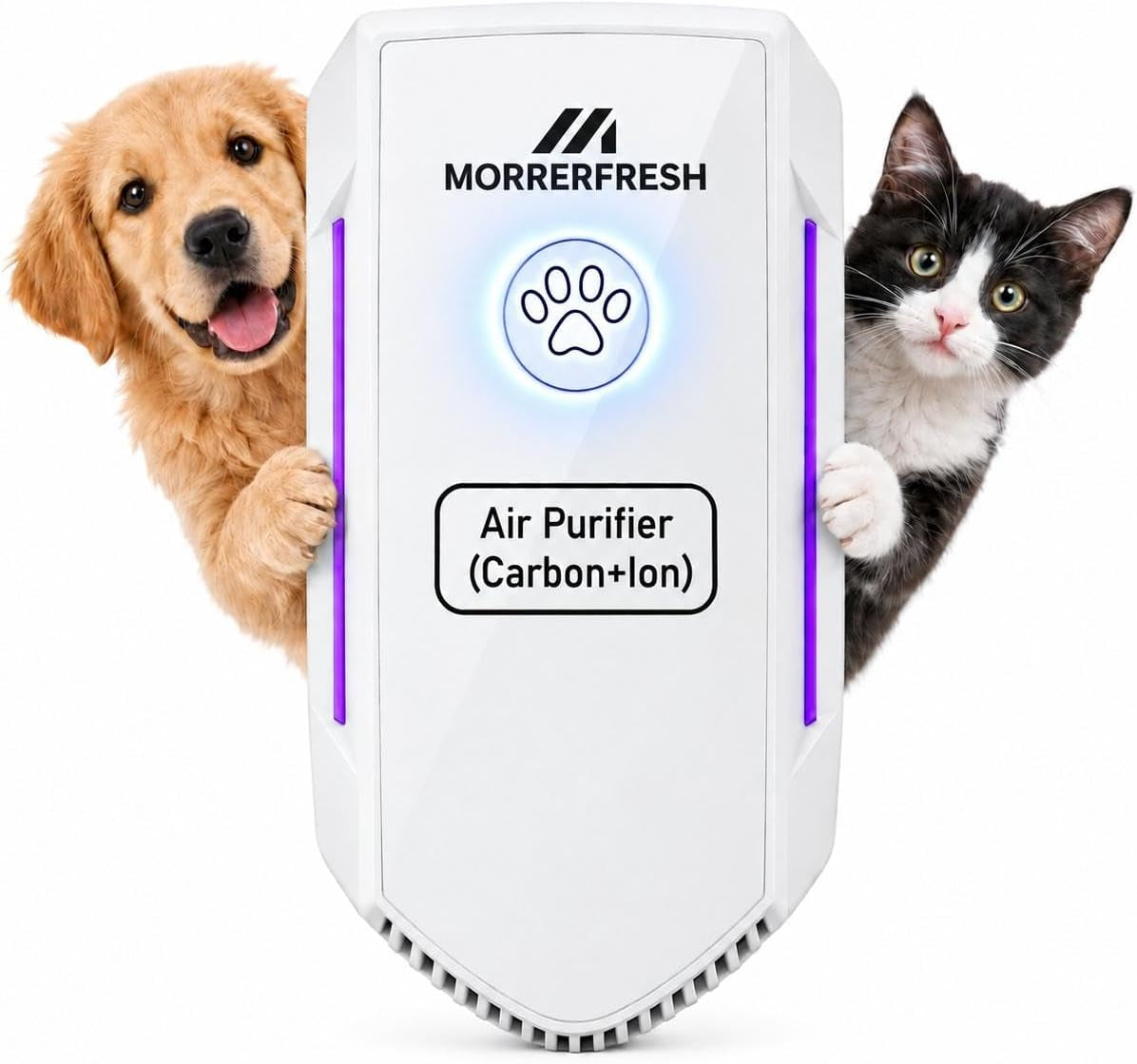 Air Ionizers for Home with Activated Carbon