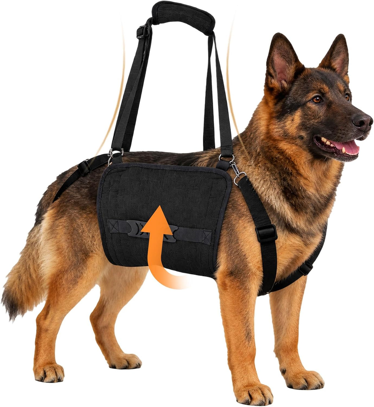 Dog Lift Harness with Lifting Handle for Mobility Assistance, Black, XXL