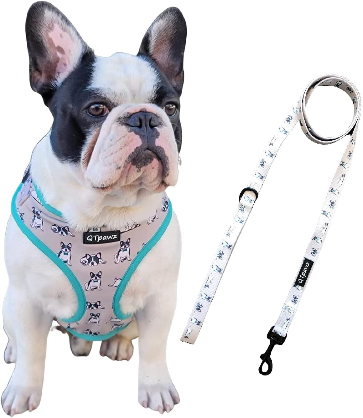 French Bull Dog Vest Harness with Matching Leash, 4 Adjusting Buckles to Get the Perfect Frenchie Fit (Large)