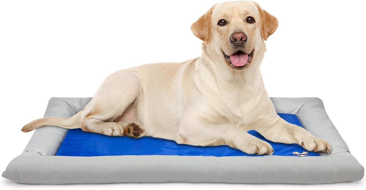 Arf Pets Dog Self Cooling Bed – Solid Gel Based Self Cooling Mat for Pets