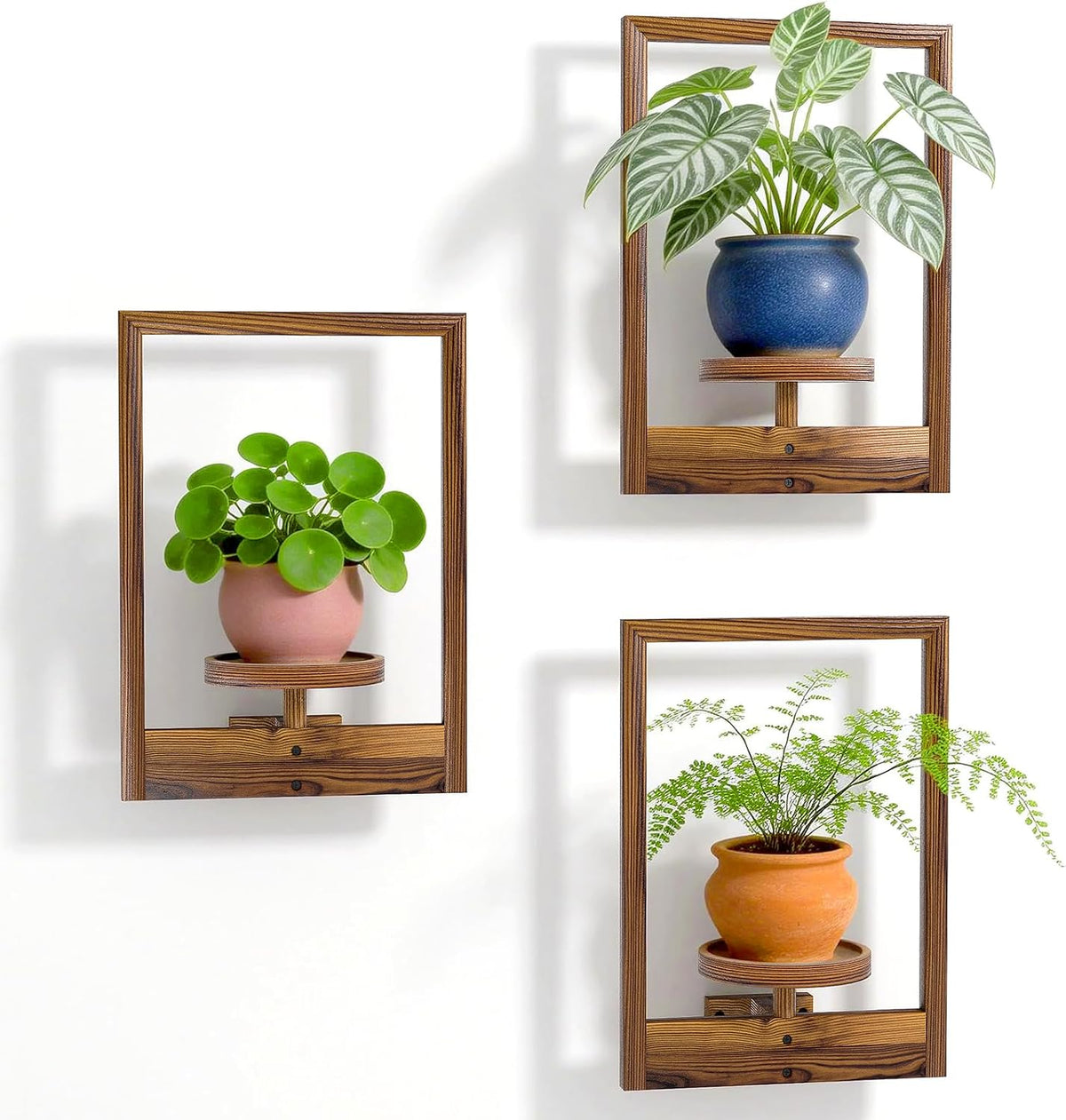 Hanging Planters for Indoor Plants Wood Plant Shelf Hold 22Lbs Wall Planter