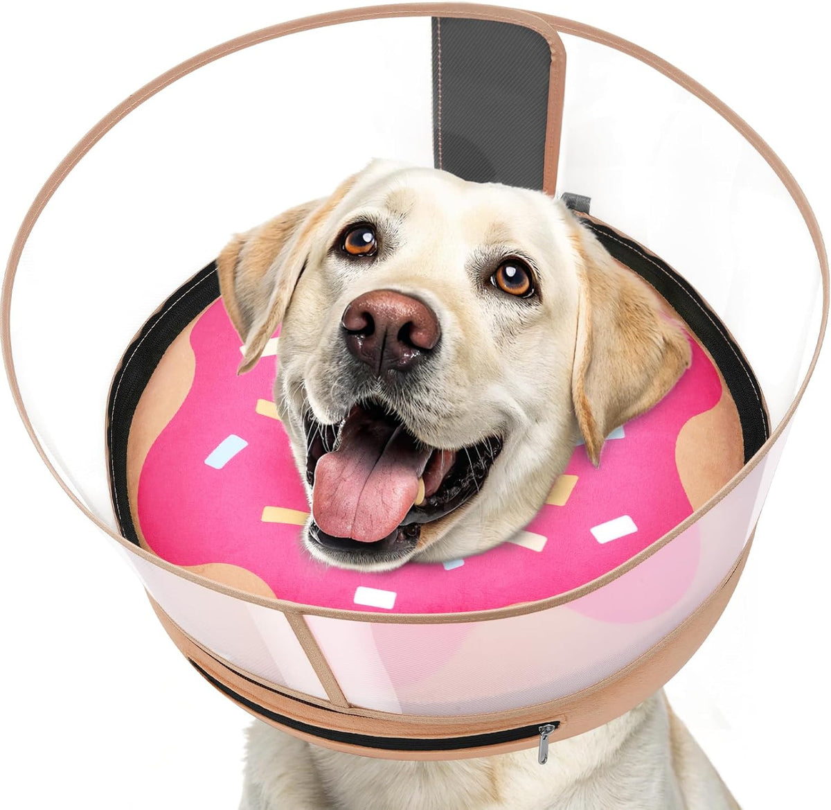 Inflatable Dog Cone with Anti-Licking Clear Shield, Fits Small Dogs