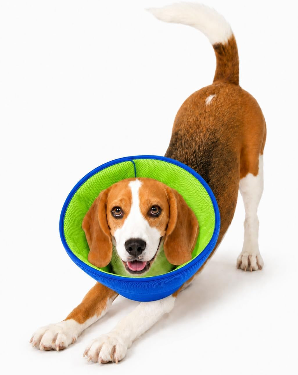 Soft Dog Cone Collar to Stop Licking after Surgery, M