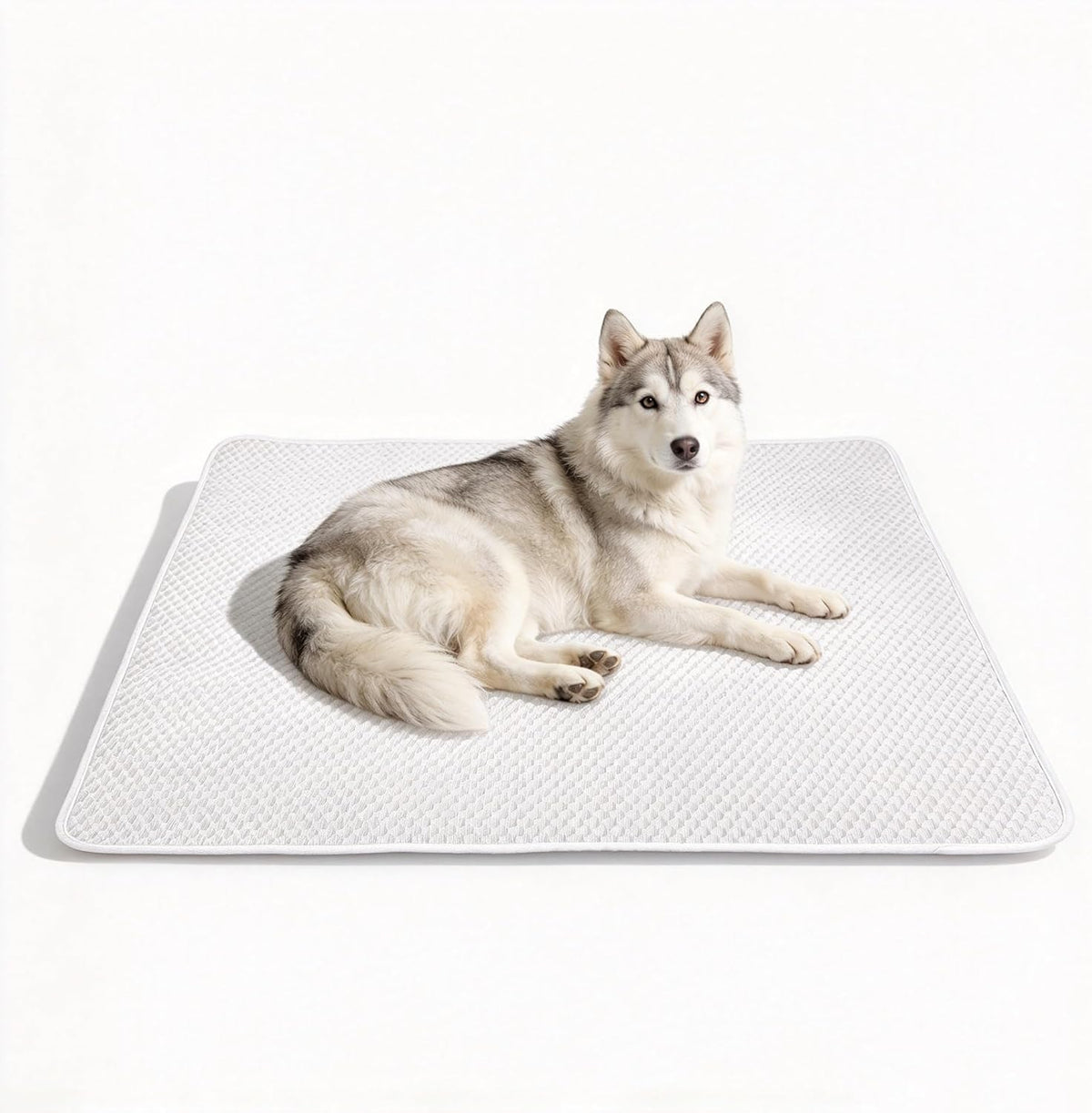 Cooling Mat for Large Dog 46"X36", Washable Waterproof Non-Slip Pad