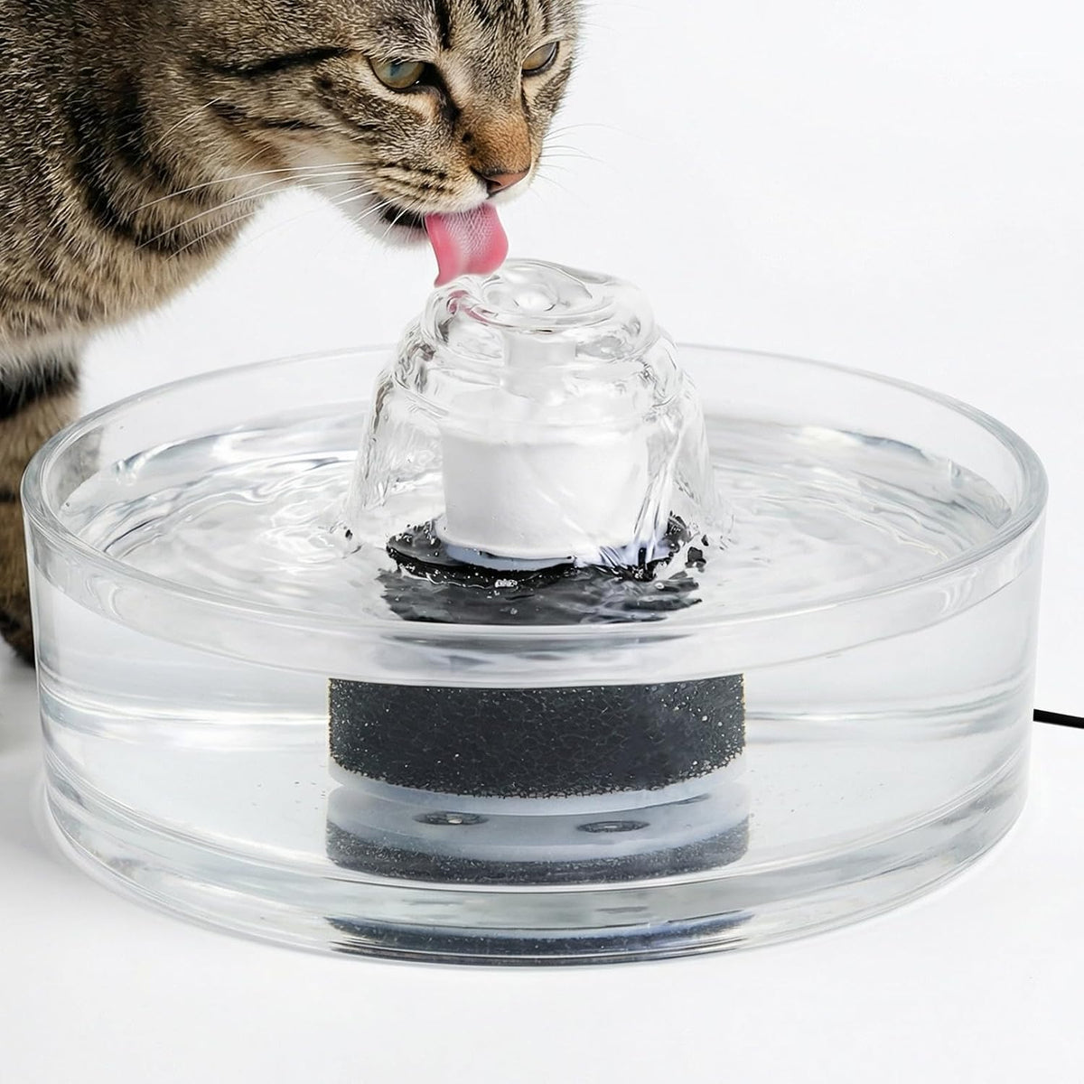 Glass Cat Water Fountain, 2.7L/91Oz Pet Water Fountain, Ultra-Quiet