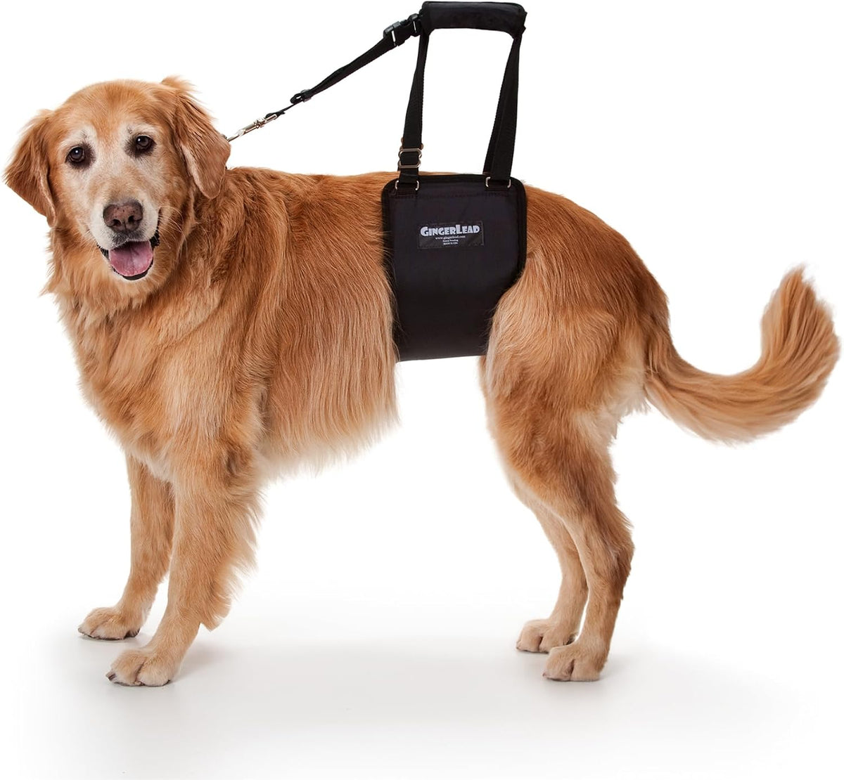 Dog Support Sling Rear Harness, Large Female, Machine Wash/Dry