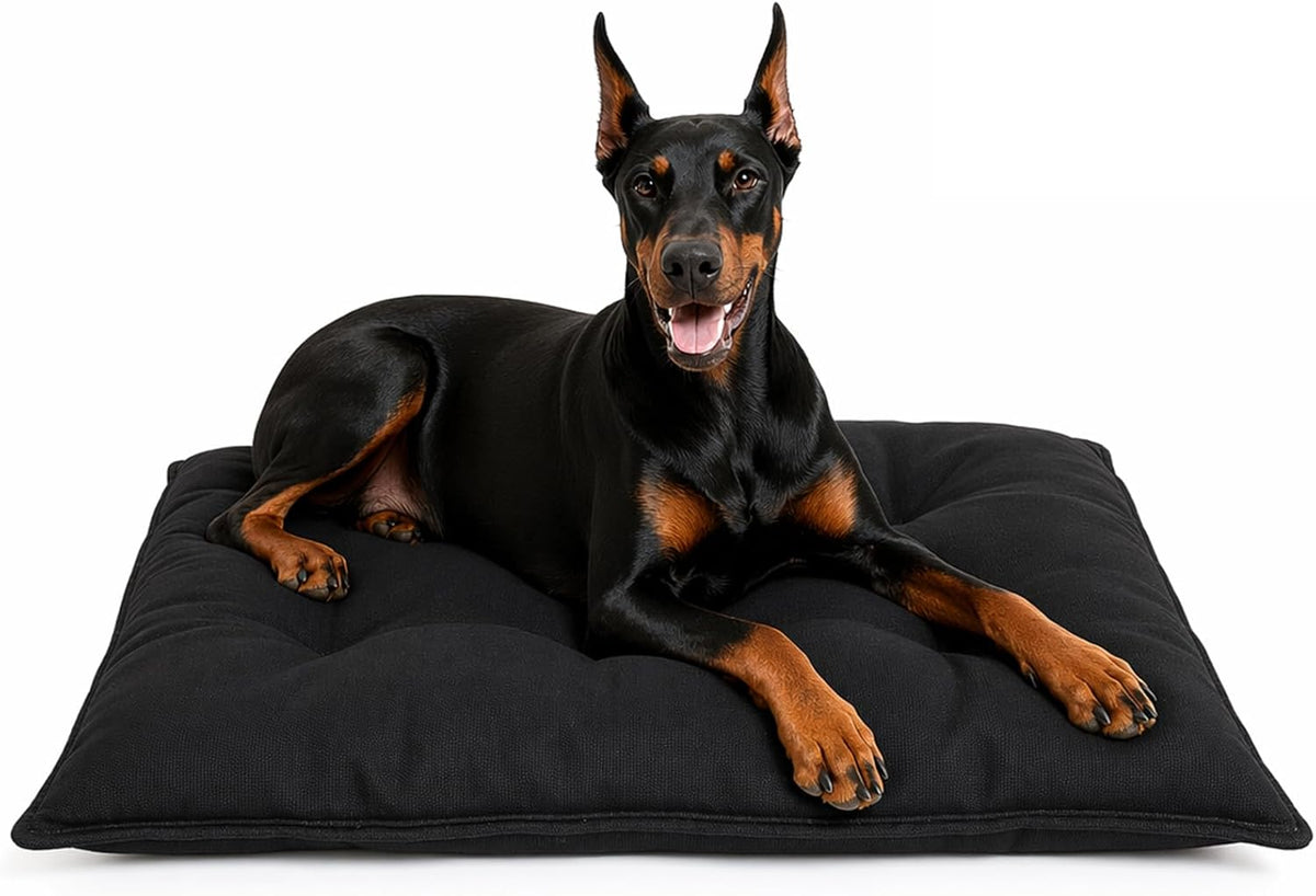Chew Proof Indestructible Dog Bed, Small, Washable & Waterproof