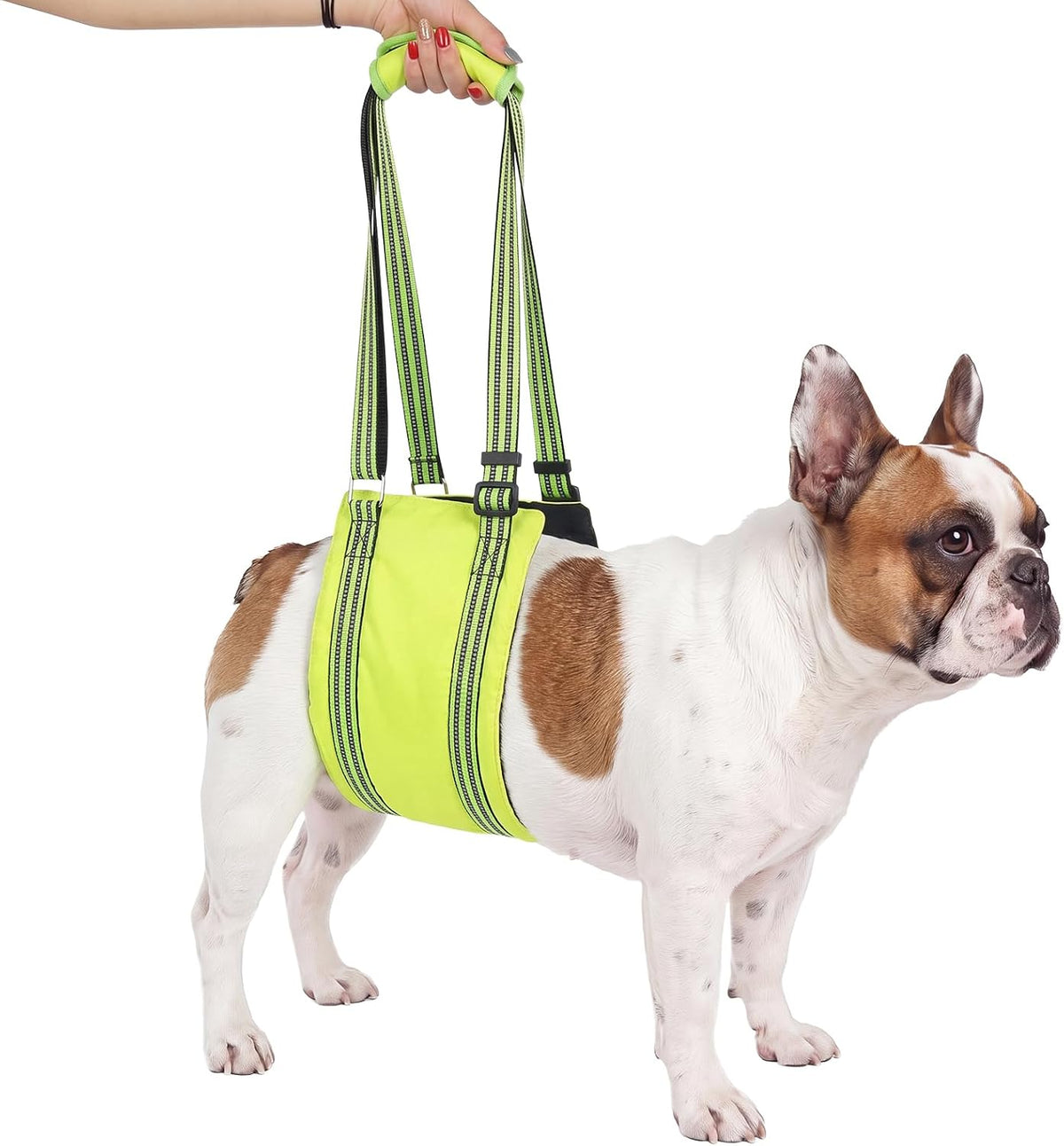Dog Lift Harness, Dogs Sling for Back Legs, Fluorescent Green, S