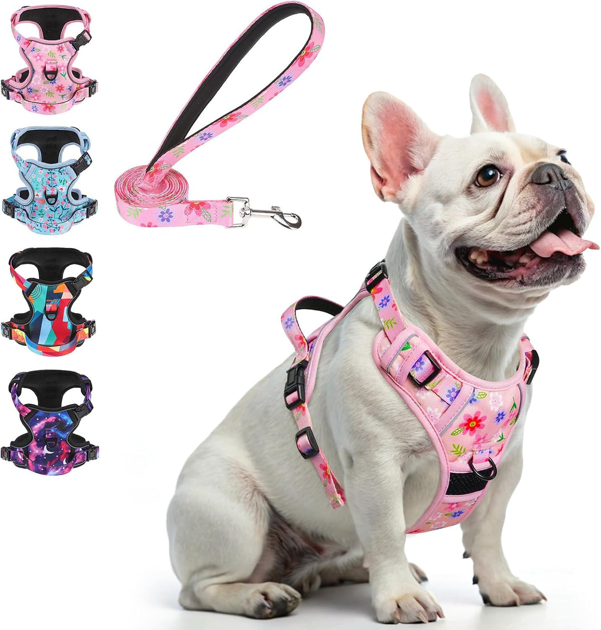 No Pull Dog Harness and Leash Set, Step in Puppy Pet Vest, Small