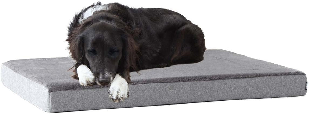 Barkbox Orthopedic Dog Bed - Large