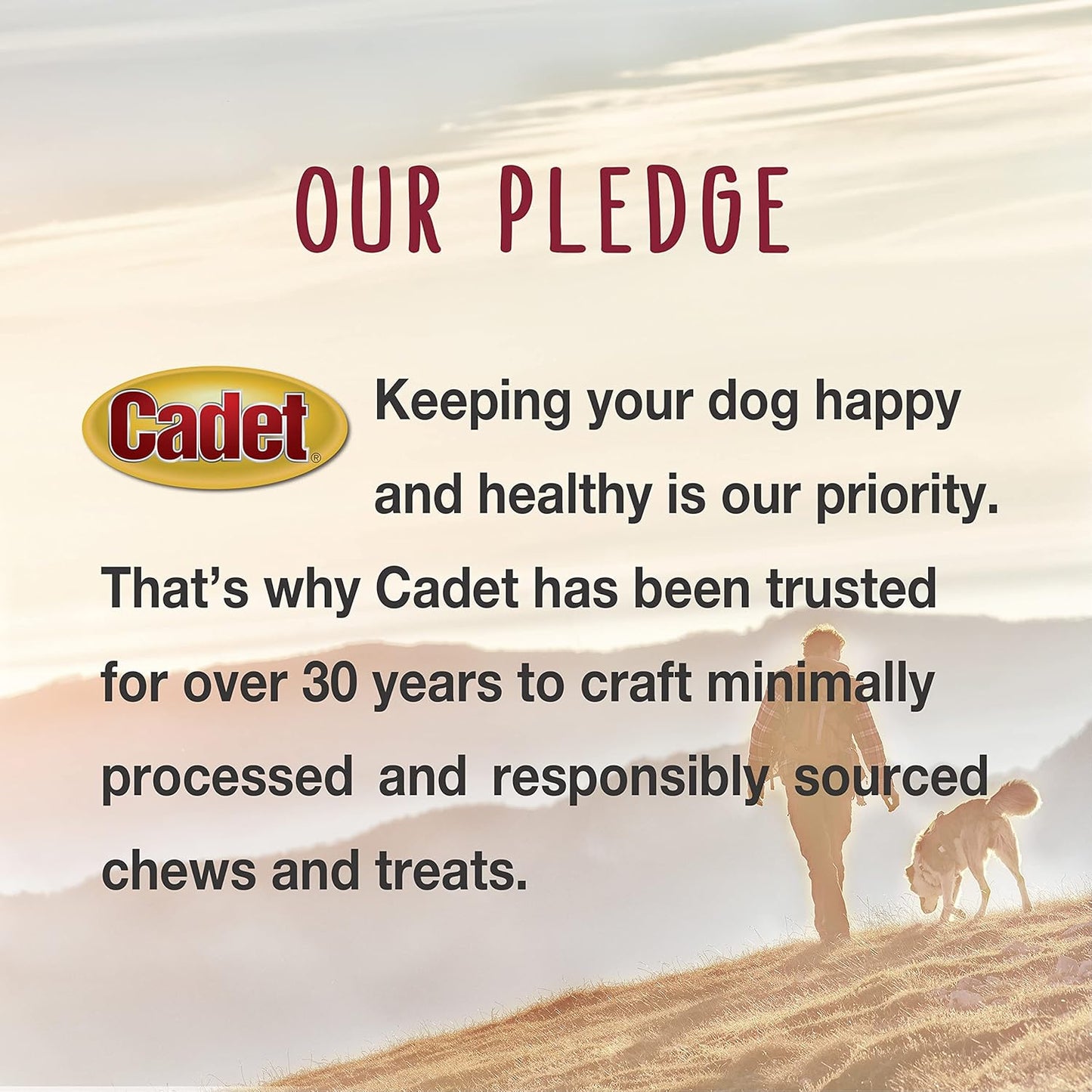 Cadet Stuffed Shin Bone, Long-Lasting Dog Chew Bones for Aggressive Chewers, High Protein Filled Bone Dental Chew for Dogs, Peanut Butter Flavor Filling, 5-6" for Large Dogs
