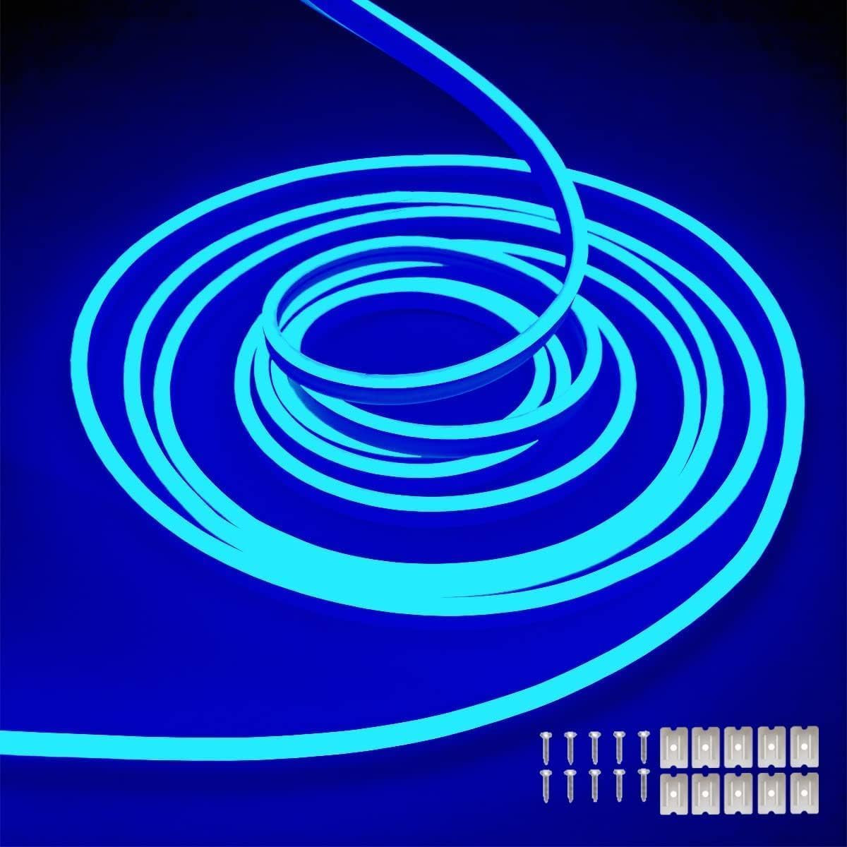 Dobestyou Blue Neon LED Strip Lights, 16.4Ft 12V DC 600 SMD2835 Leds Waterproof Flexible Rope Light for Indoor & Outdoor Home Decoration (Power Adapter Not Included)