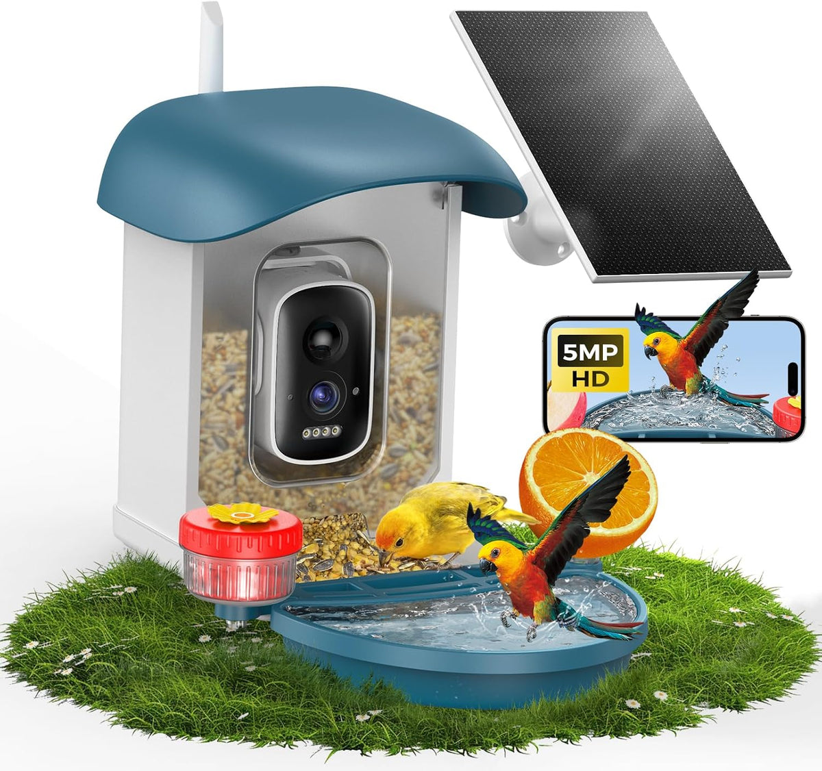 Bird Feeder with Camera 5MP Live Video, Solar Powered Smart AI Identify Birds Species, 2.4Ghz Wifi Camera Bird Feeder with Squirrel-Proof, Instant Arrival Alerts, Ideal Gifts for Bird Lovers