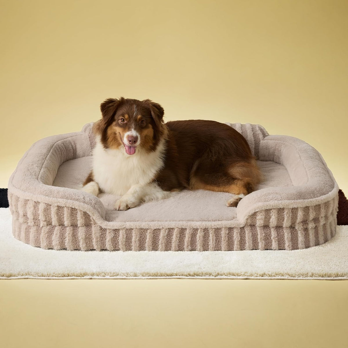 LE SURE Cute Cozy High Back Orthopedic Dog Beds Large Sized Dog,35" Hazel