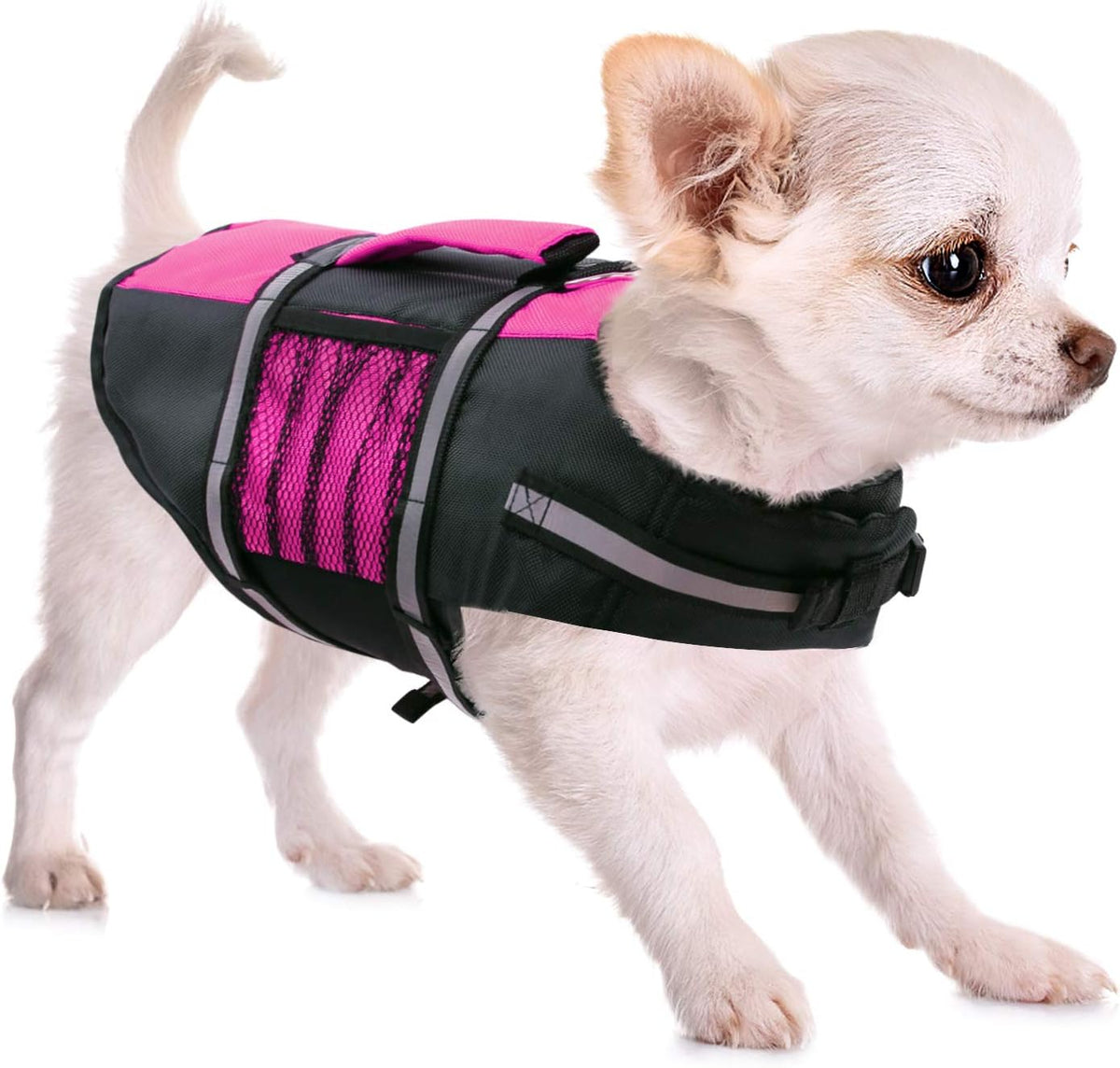 Queenmore XS Dog Life Jacket,Adjustable Dog Life Vest for Small Dogs
