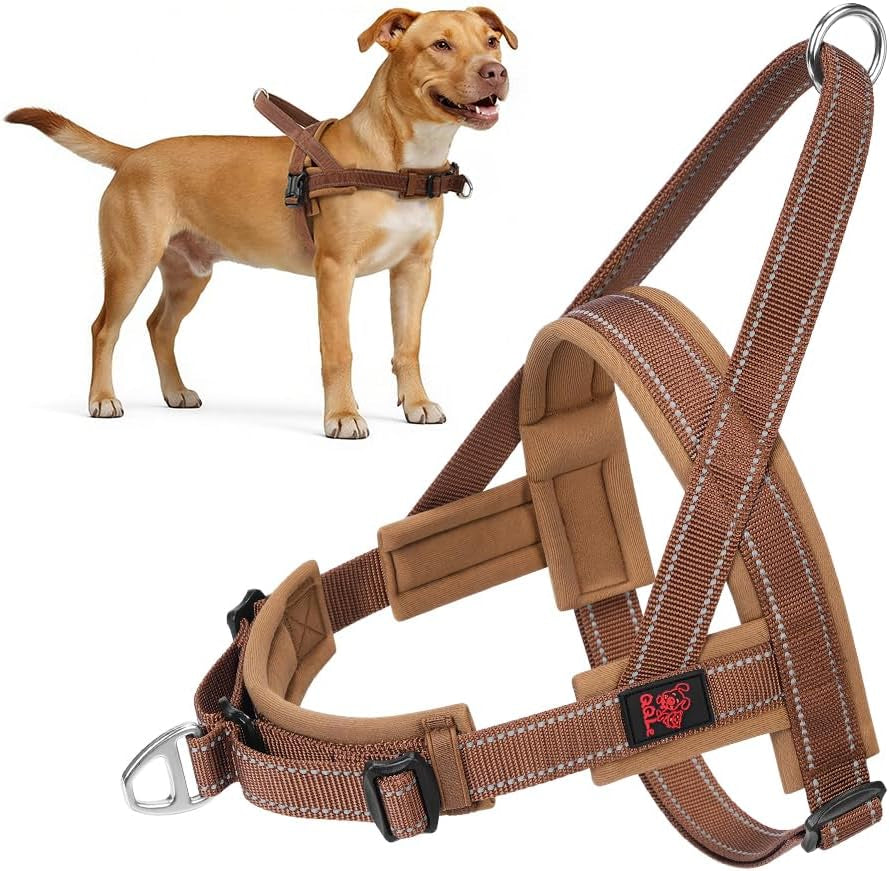 No Pull Dog Harness for Medium to Large Dogs