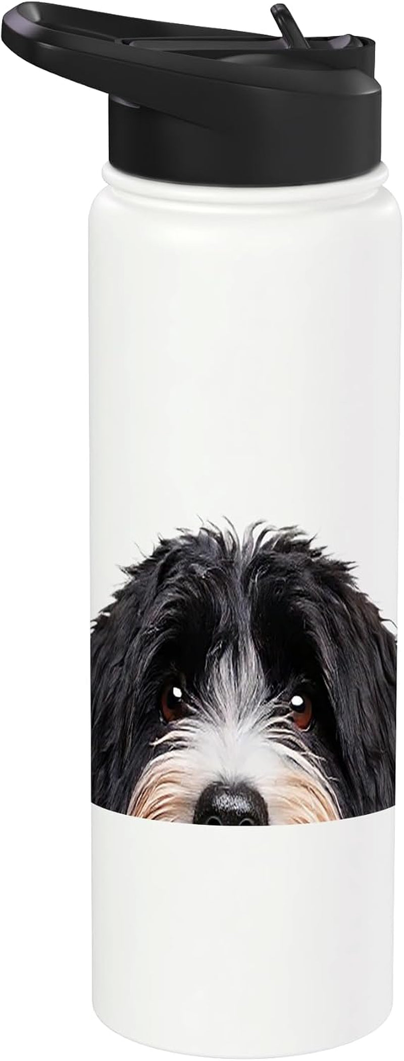 Funny Bernedoodle Peeking Dog Mom Dad Owner Stainless Steel Insulated Water Bottle