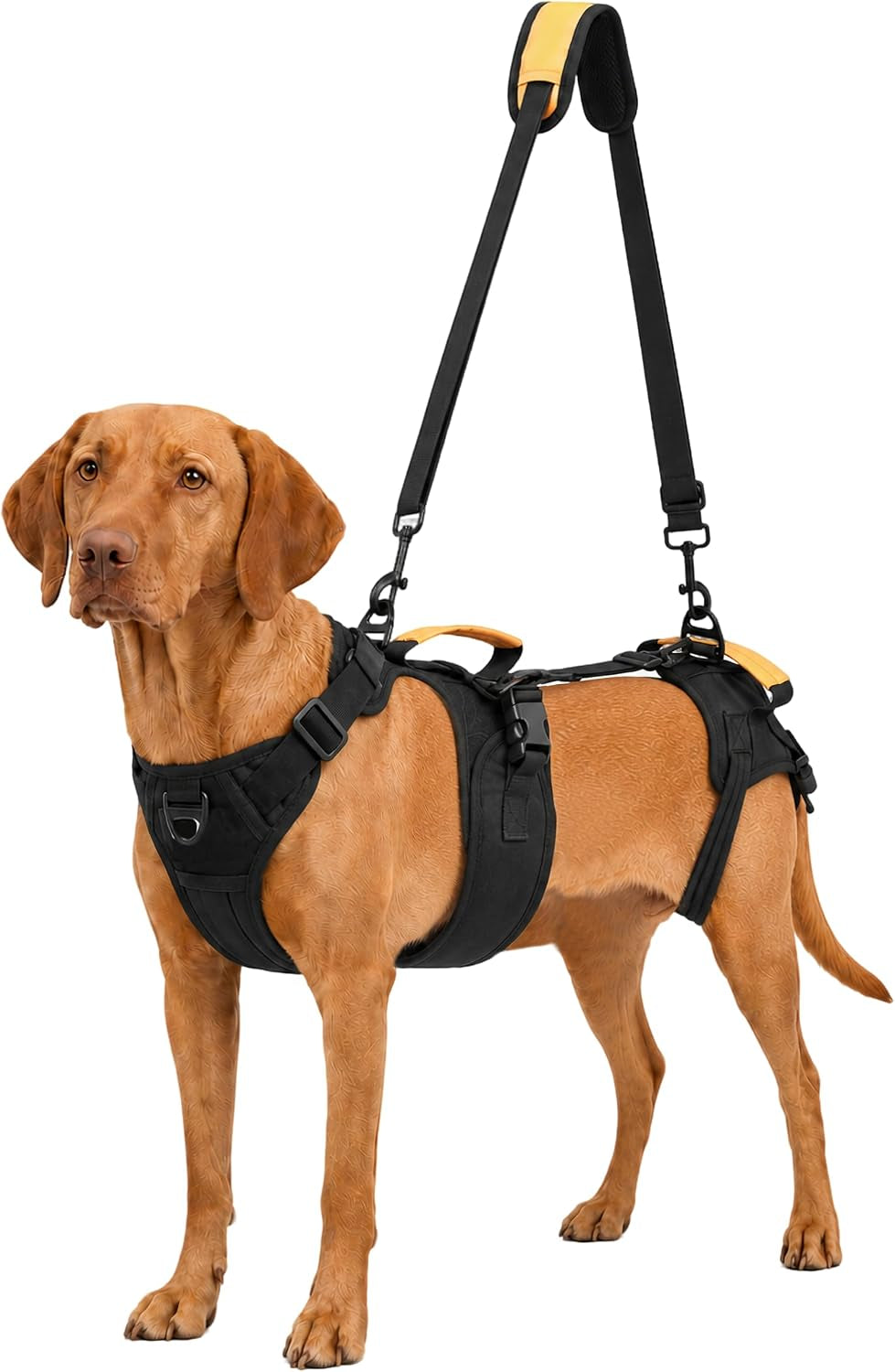 Dog Lift Harness for Senior and Injured Dogs, Detachable Full Body Sling XL