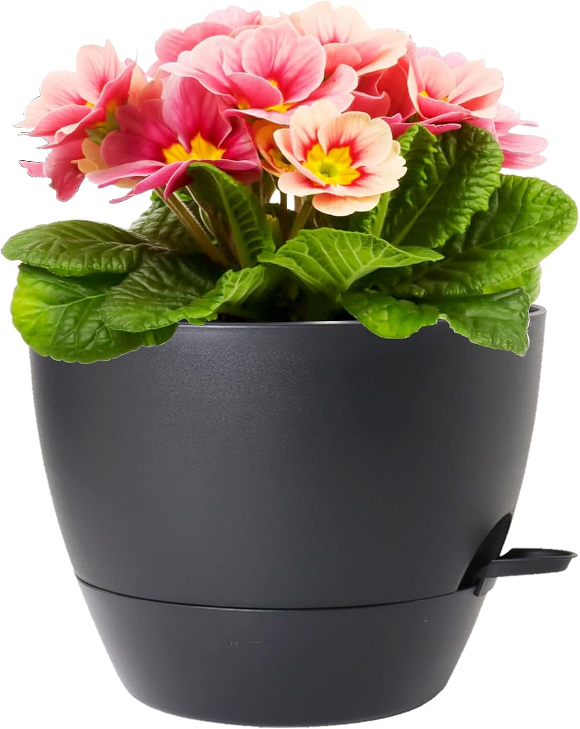 Meowell 12 Inch Large Self Watering Pot for Indoor Outdoor Plants, Black