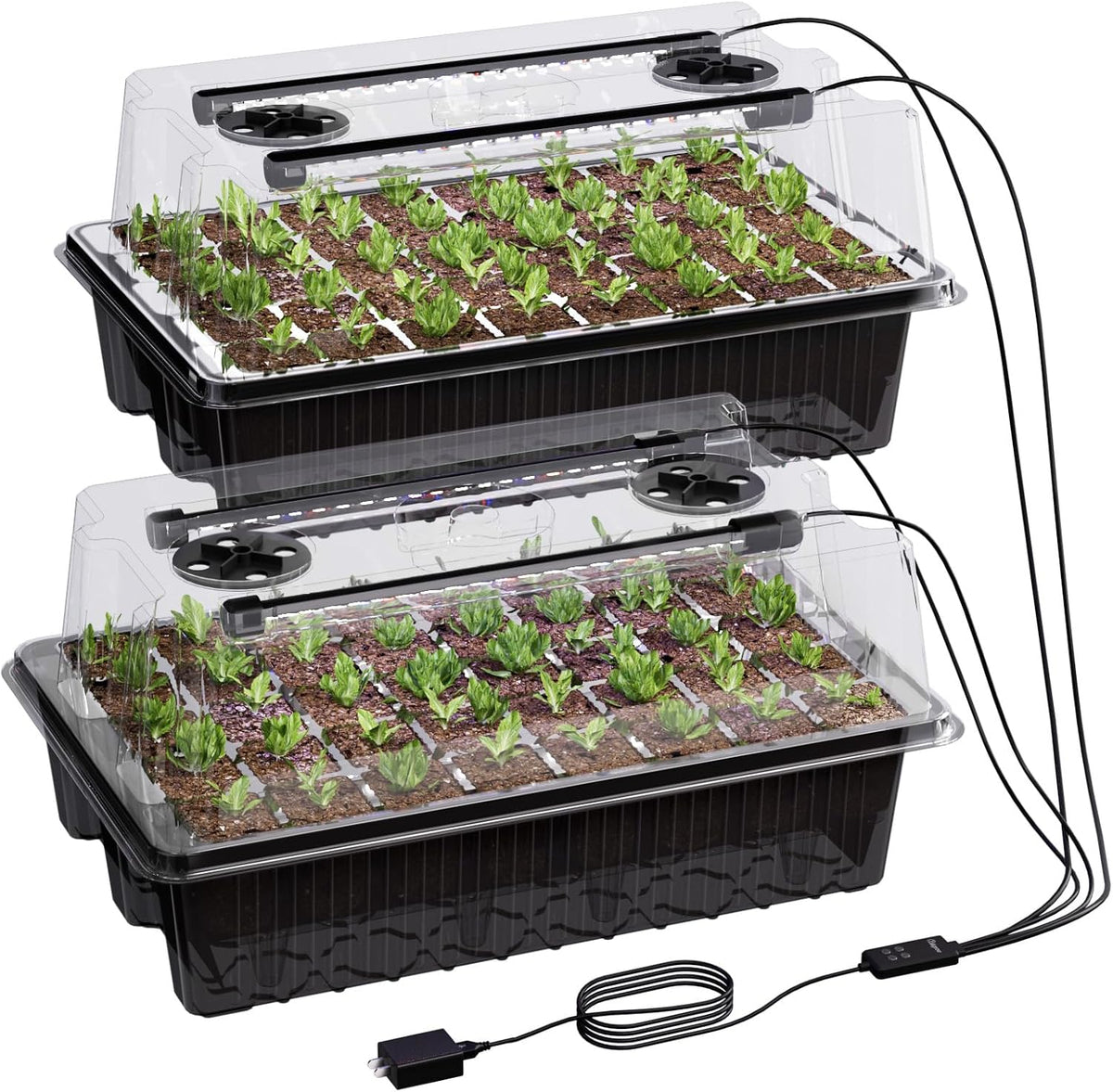 Patigrow 80-Cell Self-Watering Seed Starter Tray with Grow Light, Seed Starter Kit with 4.07” Humidity Dome, Indoor Seedling Starter Tray, Seed Starting Trays for Plant Germination, Seeds Growing