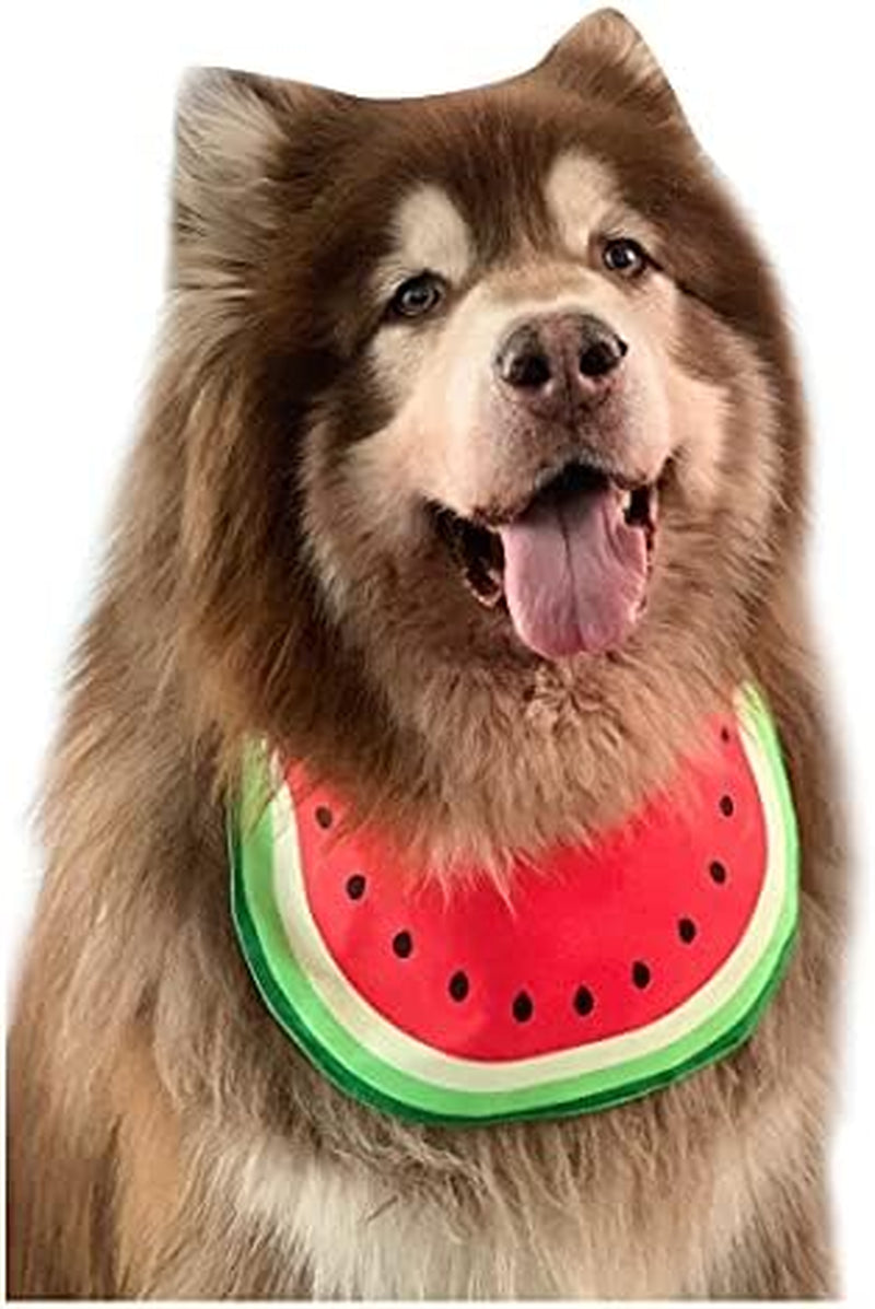 Pet Dog Bandana Watermelon Neckerchief Costume Accessory Summer Waterproof Bib for Medium & Large Dogsgolden Retriever Alaskan Samoyed