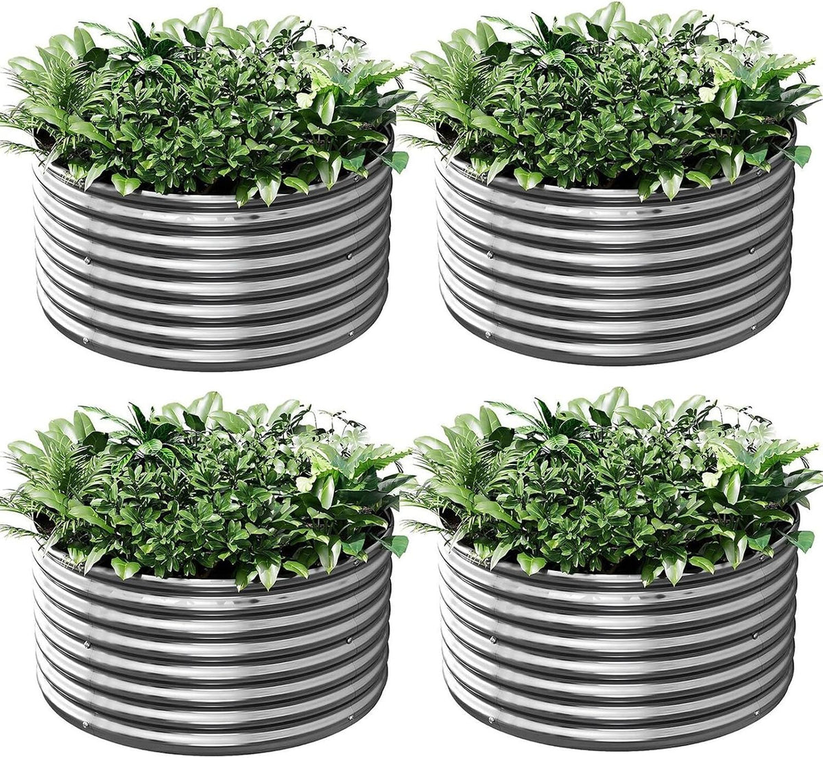 4 Pack round Galvanized Raised Garden Bed Outdoor, Metal Garden Bed for Vegetables, above Ground Garden Box for Flower, Steel Raised Beds for Gardening - 2FT