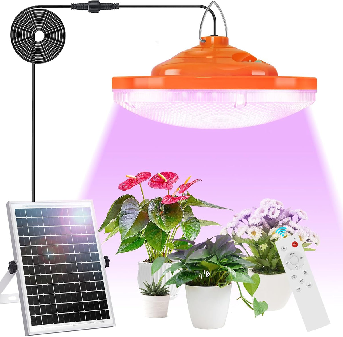 Solar Grow Light Outdoor Indoor Run Day/Night, Full Spectrum with Timer