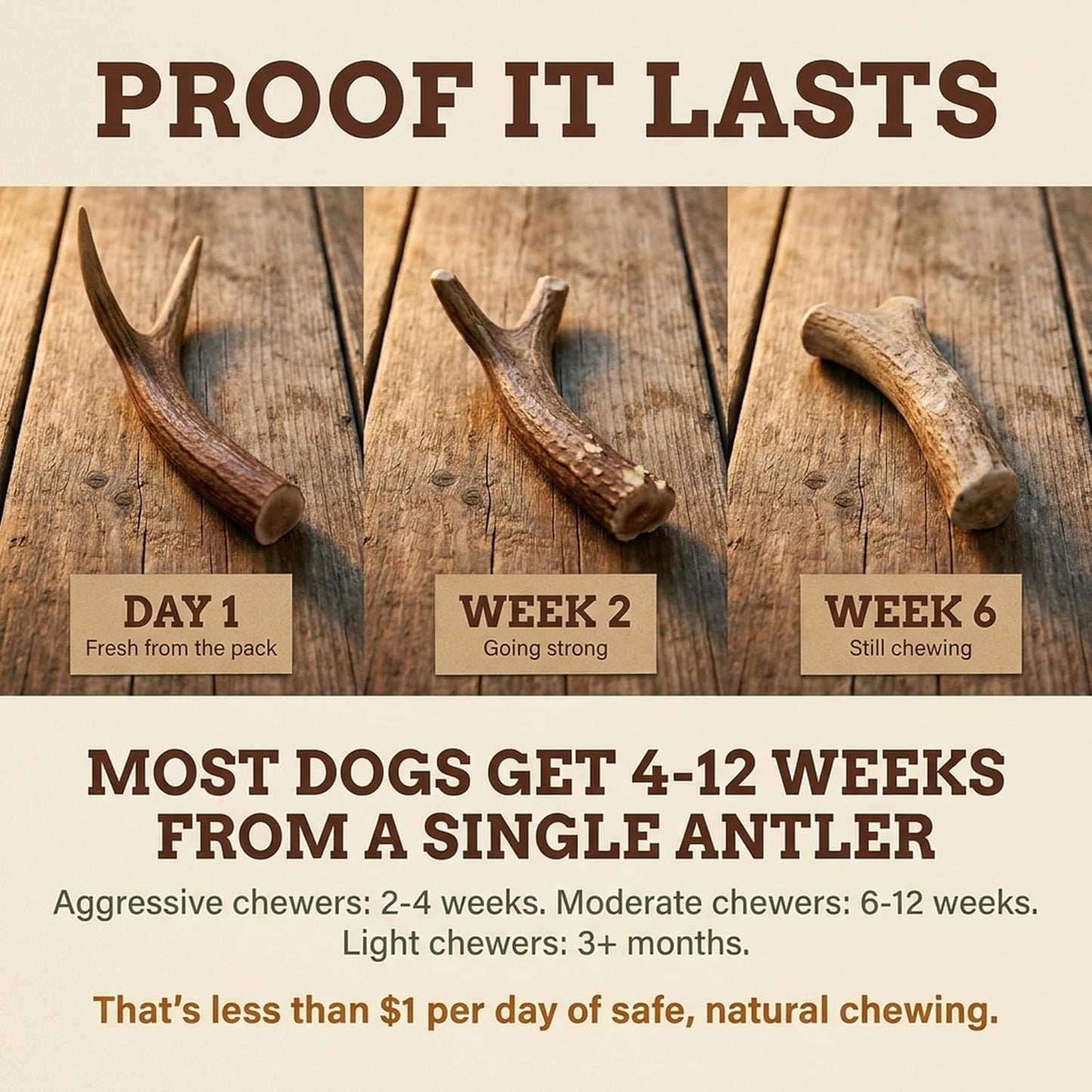 Heartland Antlers Deer Antler Dog Chew Large 6-8 Inch, Naturally Shed Rawhide Alternative 45-65 Lbs, Veteran Owned USA Sourced Grade A, Odor Free No Mess Splinter Free