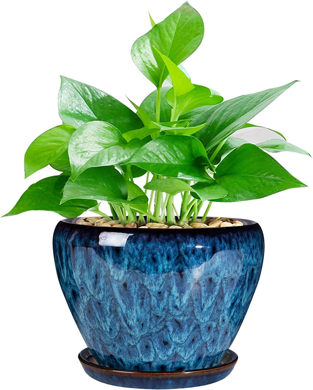 Ceramic Modern Glaze Succulent Planter Pot with Drainage Hole and Saucer 6 Inch round Flower Plant Pot for Indoor Outdoor Herb Snake Plants