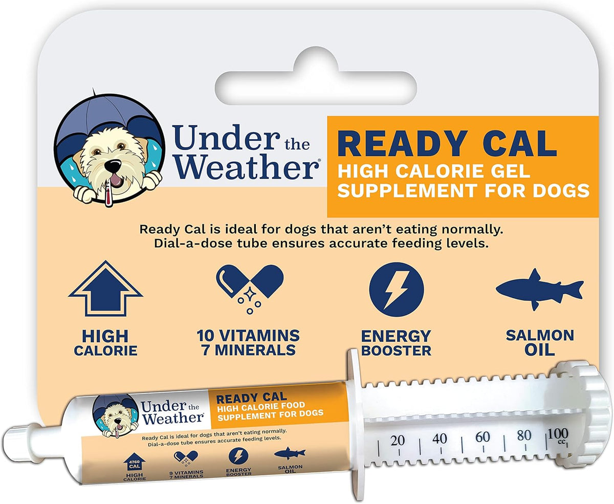 Under the Weather Pet | Ready Cal for Dogs 100Cc | High Calorie Supplement | Weight Gainer and High Calorie Booster | 10 Vitamins, 7 Minerals & Omega Fatty Acids