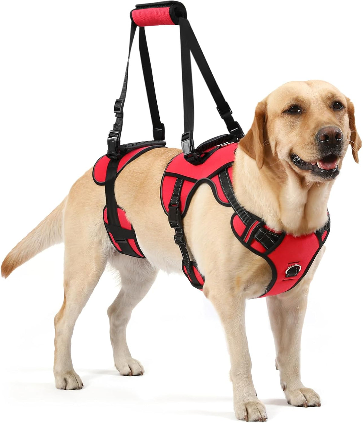 NOYAL Dog Lift Harness, Full Body Support Sling, M/L Breeds