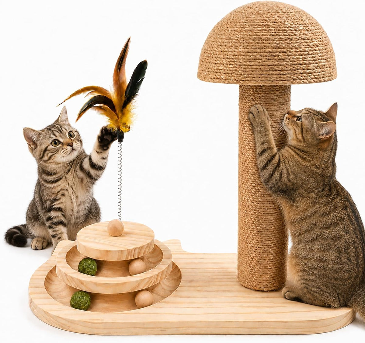 Kitten Scratching Post for Indoor Cats with 2-Level Ball Track