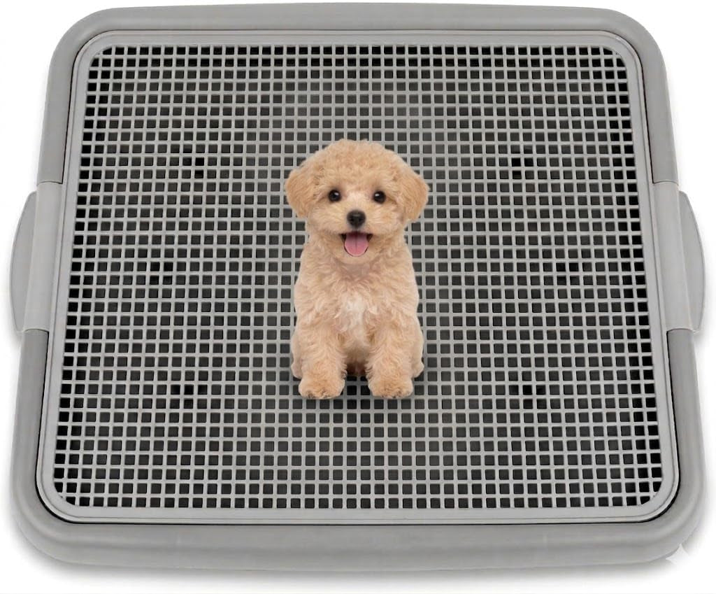 UPIT Puppy Potty Tray with Mesh – Dog Pee Pad Holder for Small Dogs & Puppies, Indoor Dog Potty Training Toilet, Plastic Leak-Proof Dog Potty Tray (Small - 20 X 16 In)