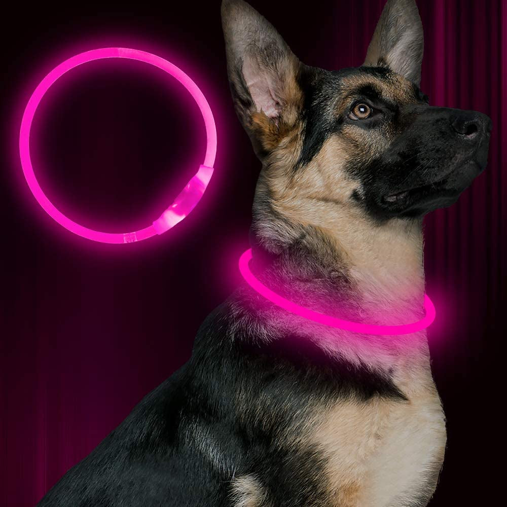 Led Dog Collar,Bseen USB Rechargeable Light up Flash Dog Necklace