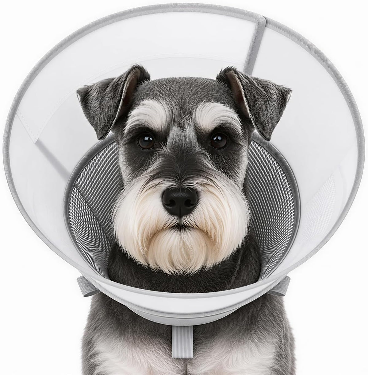 Soft Dog Cone Collar for Small Dogs, Adjustable Recovery Collar to Stop Licking, Comfortable E-Collar Alternative after Surgery, S