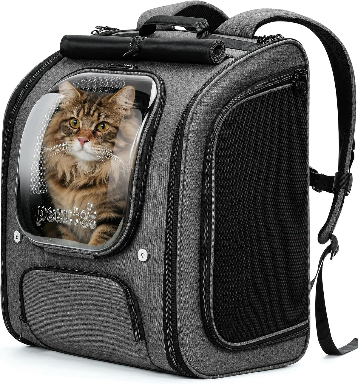 Pecute Cat Backpack Carrier,Large Space Cat Bubble Backpack,Ergonomic,Gray